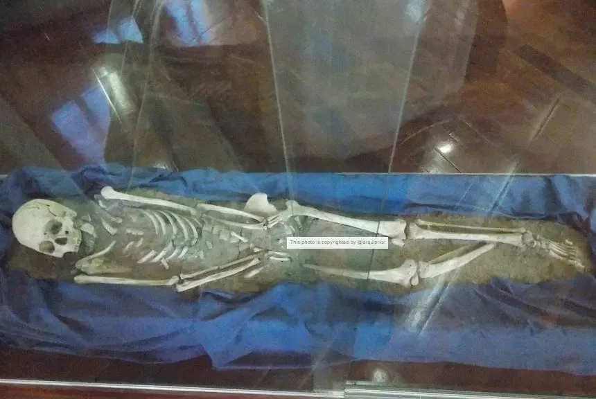 Museu do Homem do Sambaqui