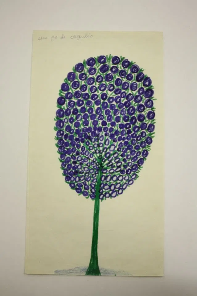 Museu de Arte do Espírito Santo