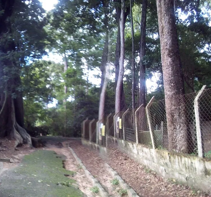 Parque Arruda Câmara