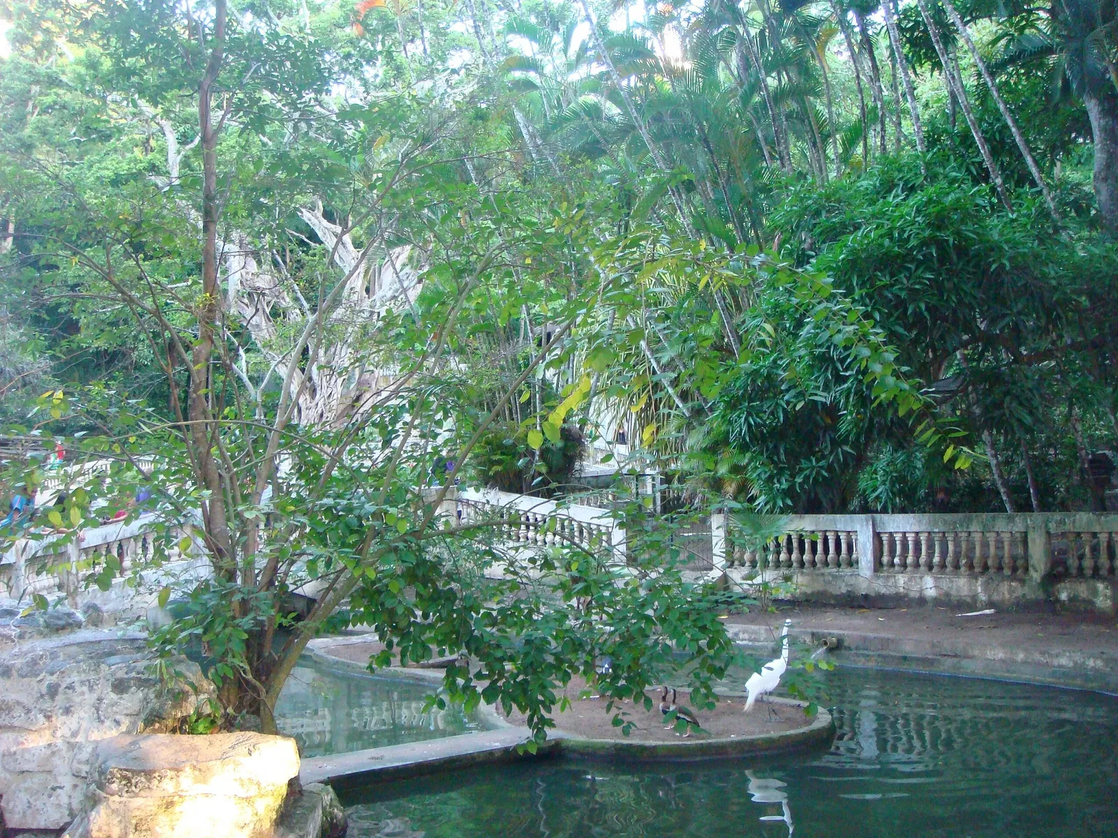 Parque Arruda Câmara