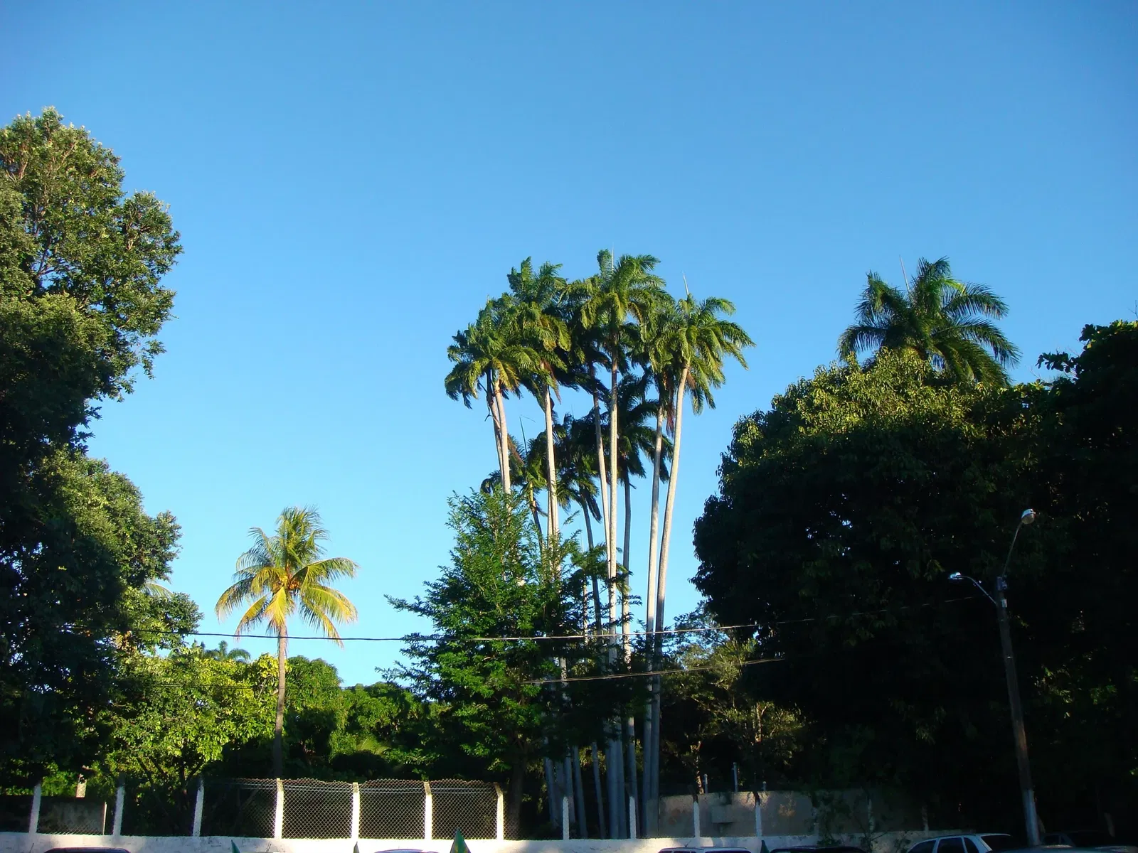 Parque Arruda Câmara