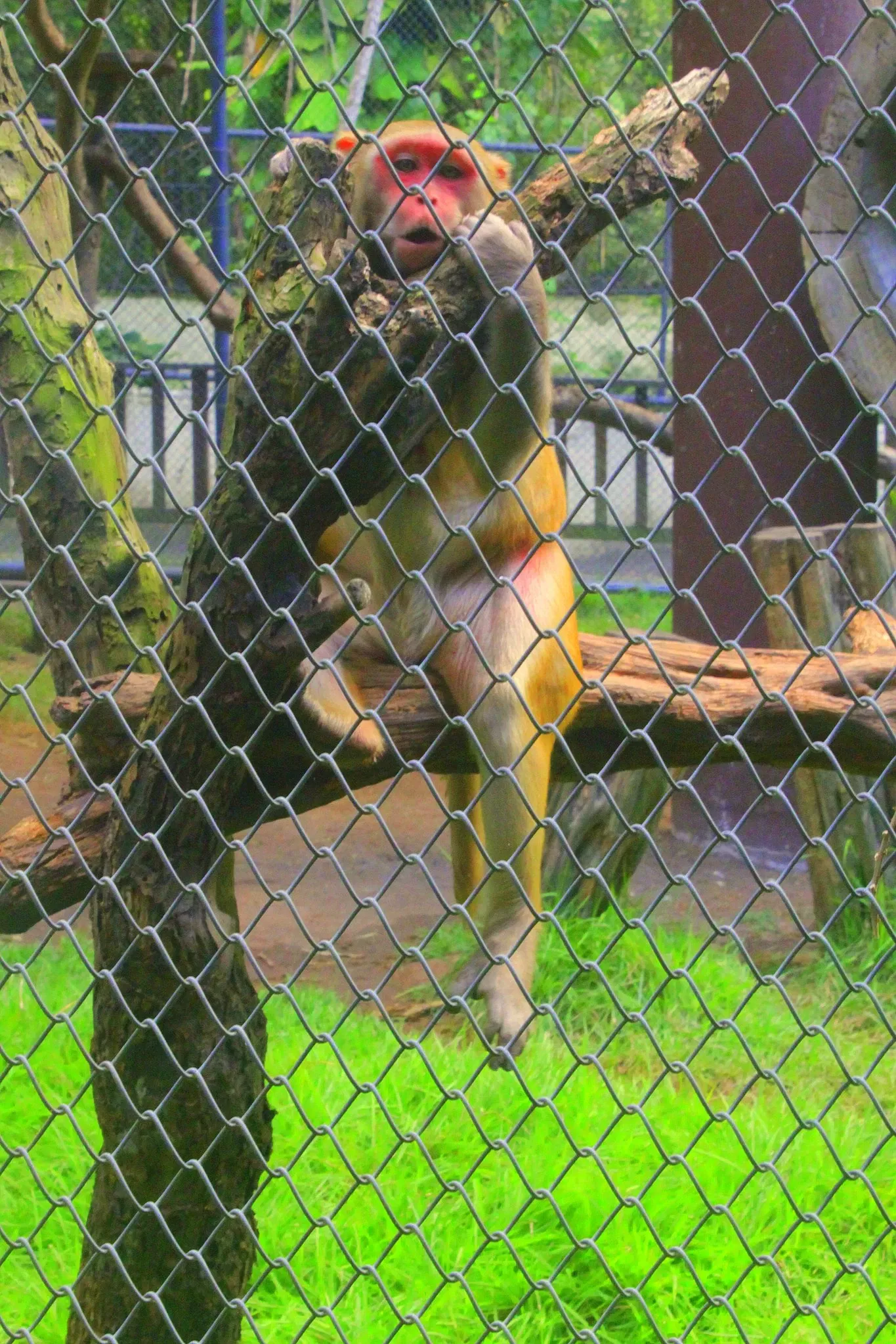 Parque Arruda Câmara