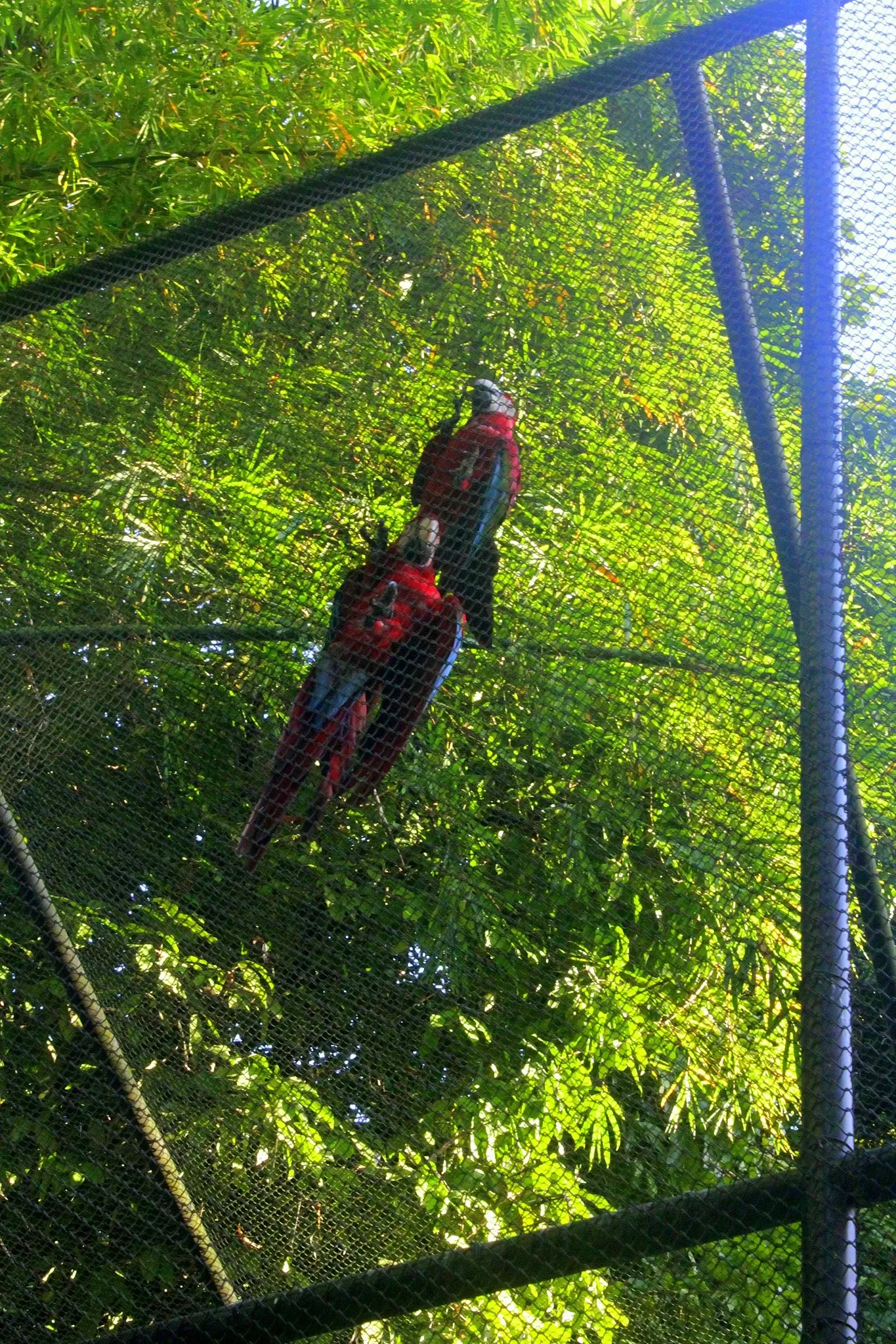 Parque Arruda Câmara