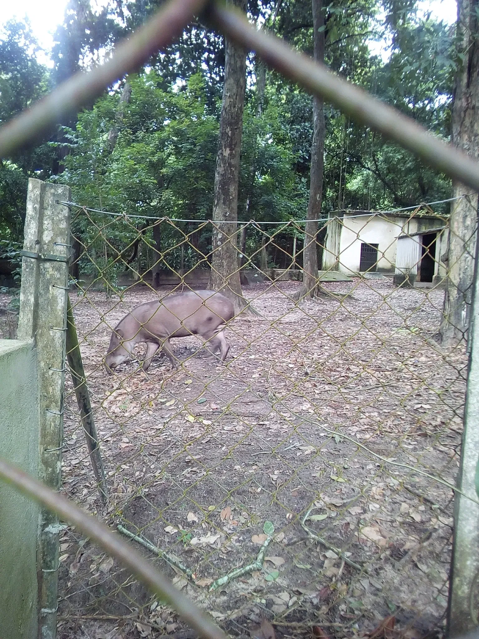 Parque Arruda Câmara