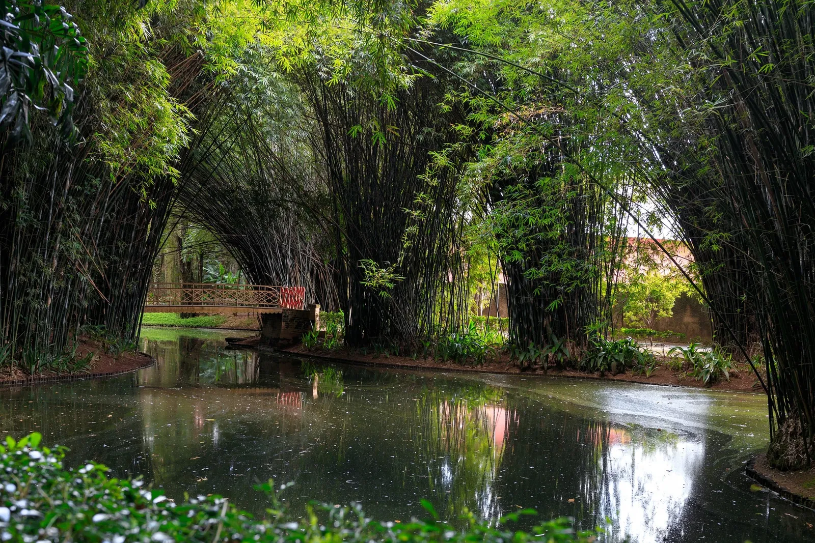 Museo Mariano Procópio