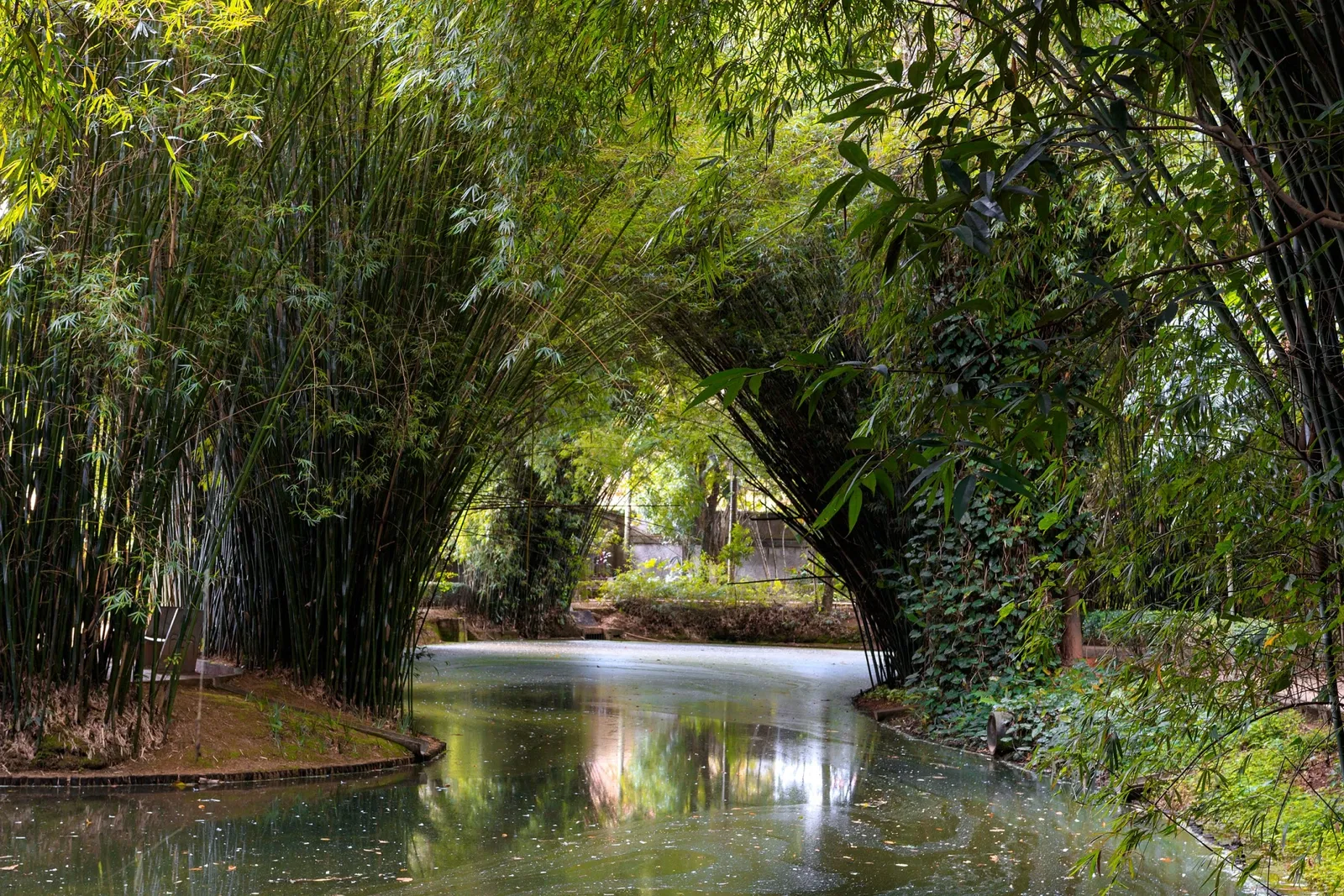 Museo Mariano Procópio