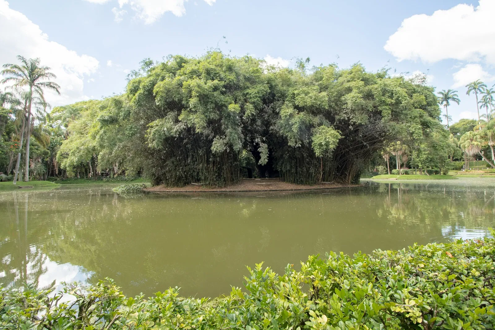 Museo Mariano Procópio