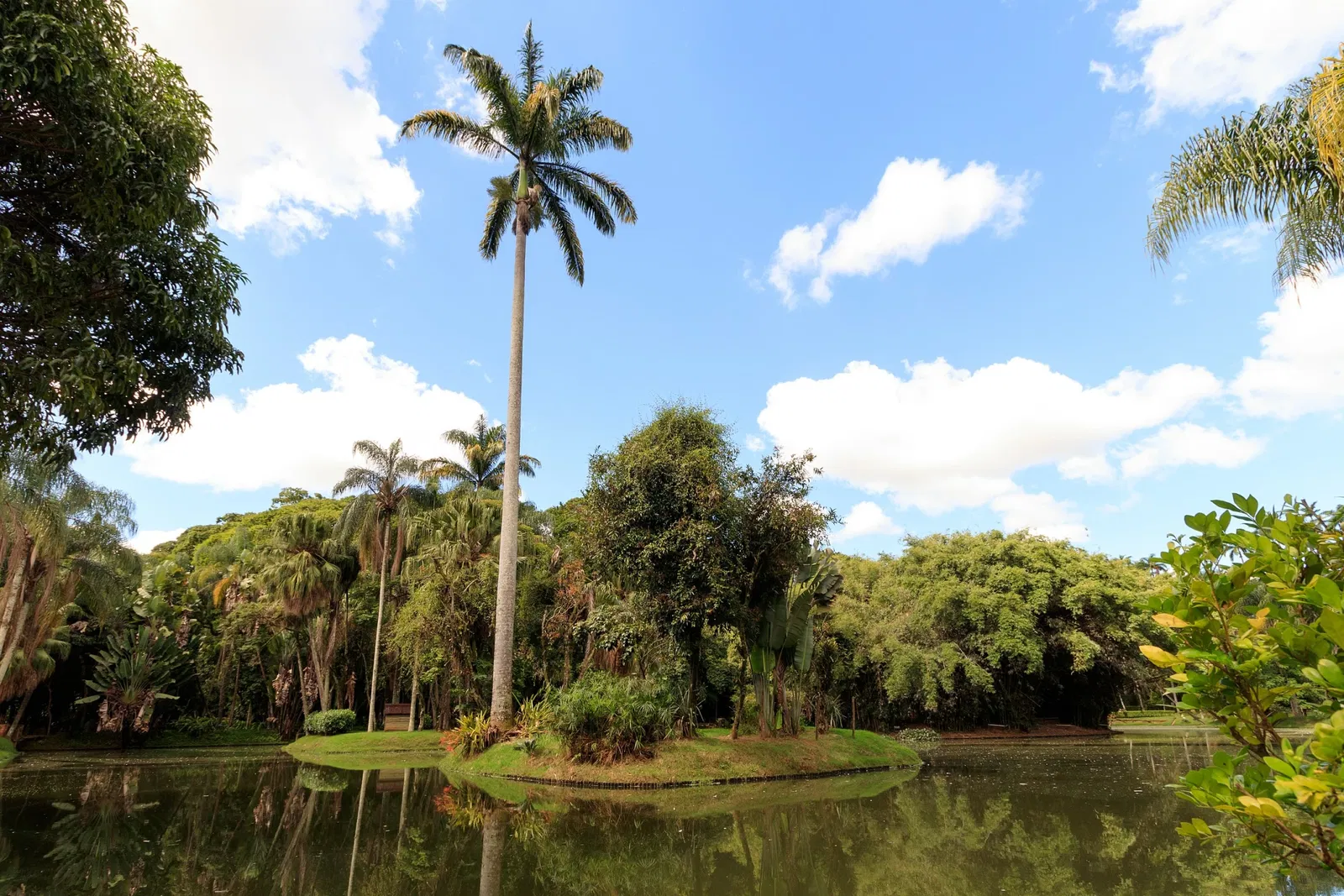 Mariano Procópio Museum