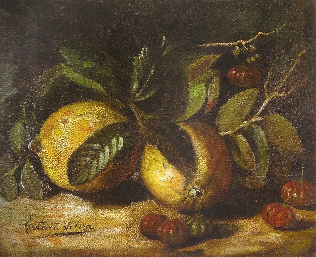 Museo Mariano Procópio