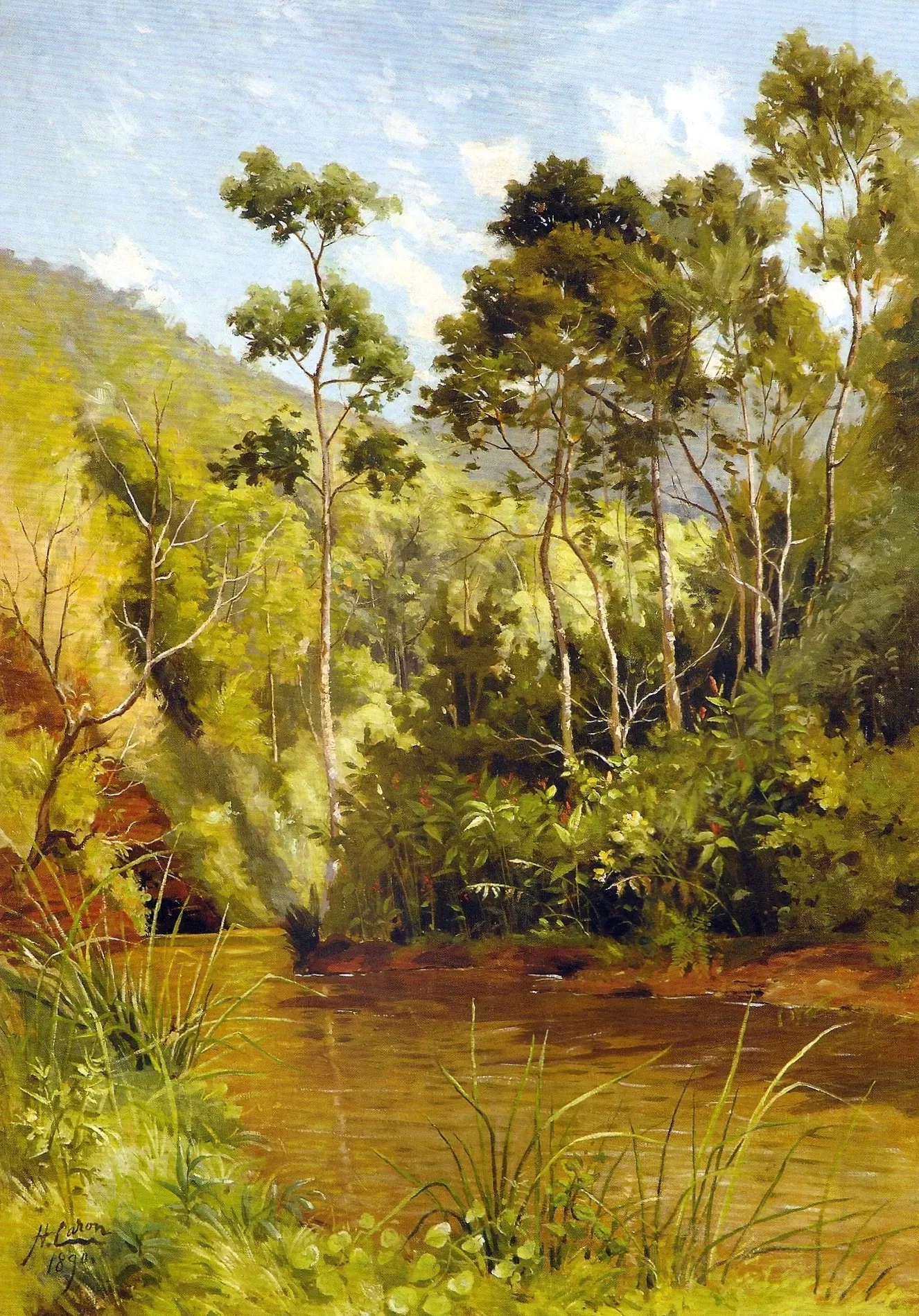 Mariano Procópio Museum