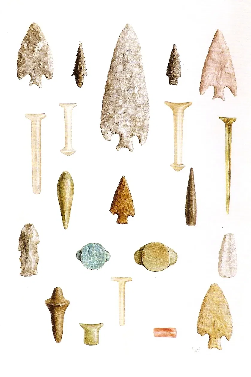 Mariano Procópio Museum