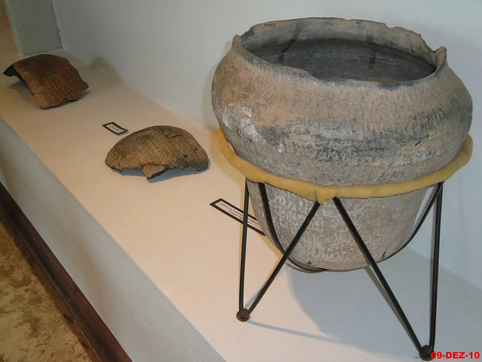 Museu de Arqueologia e Paleontologia de Araraquara