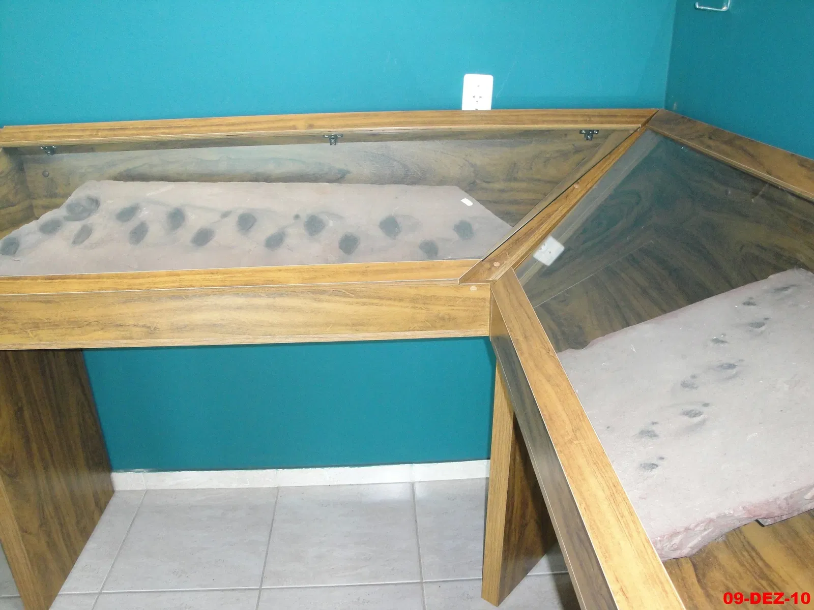 Museu de Arqueologia e Paleontologia de Araraquara