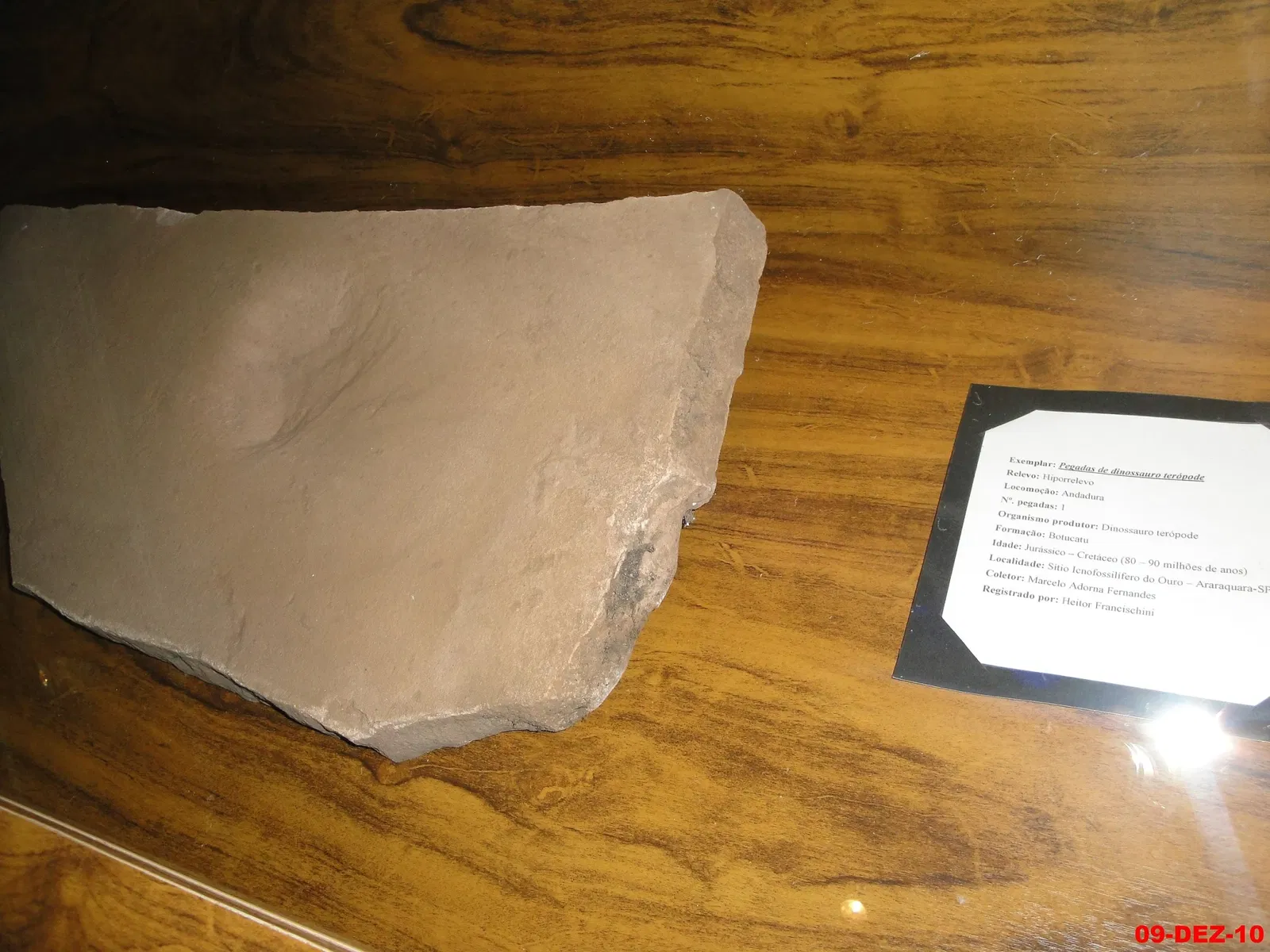 Museu de Arqueologia e Paleontologia de Araraquara