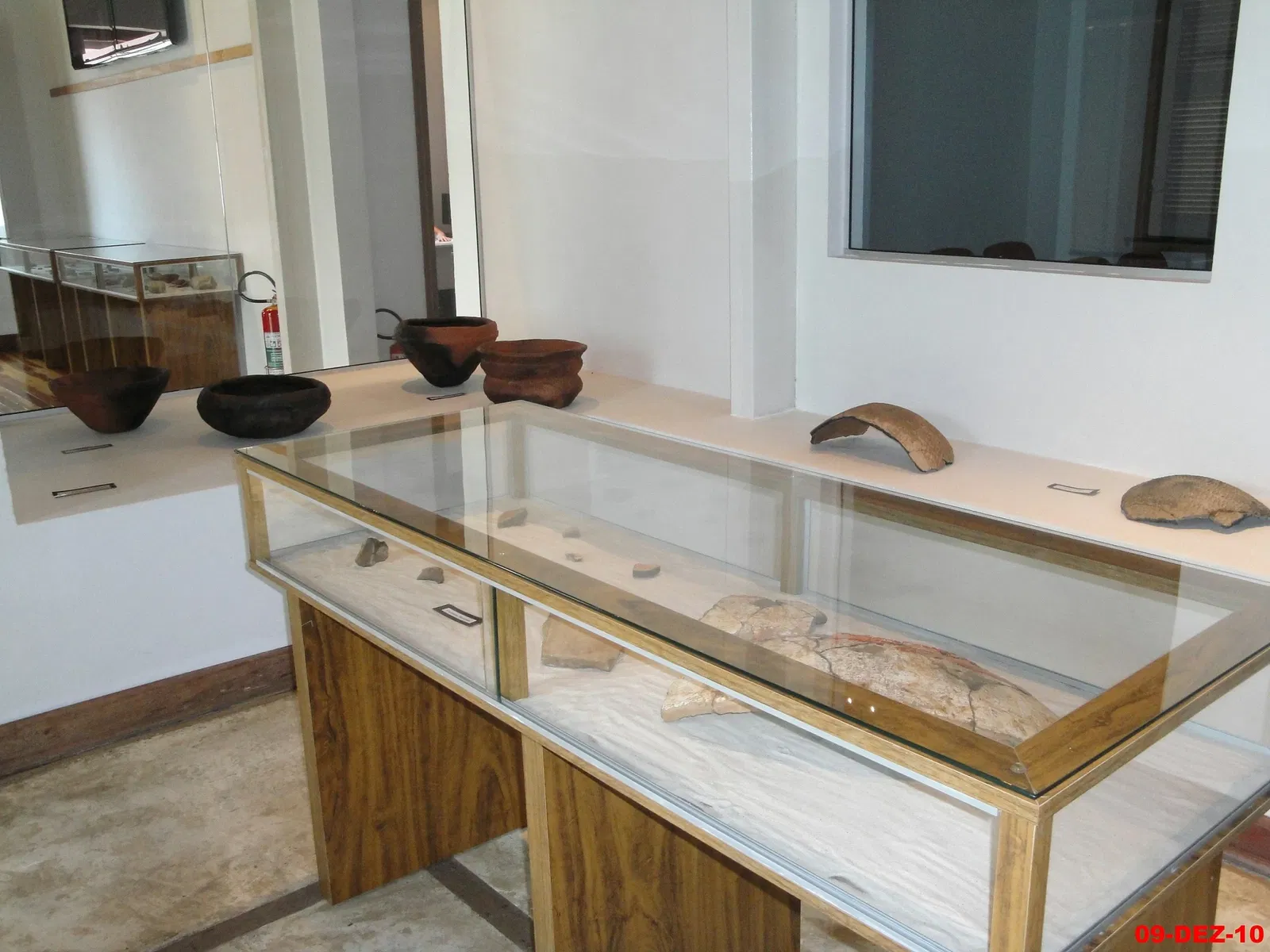 Museu de Arqueologia e Paleontologia de Araraquara