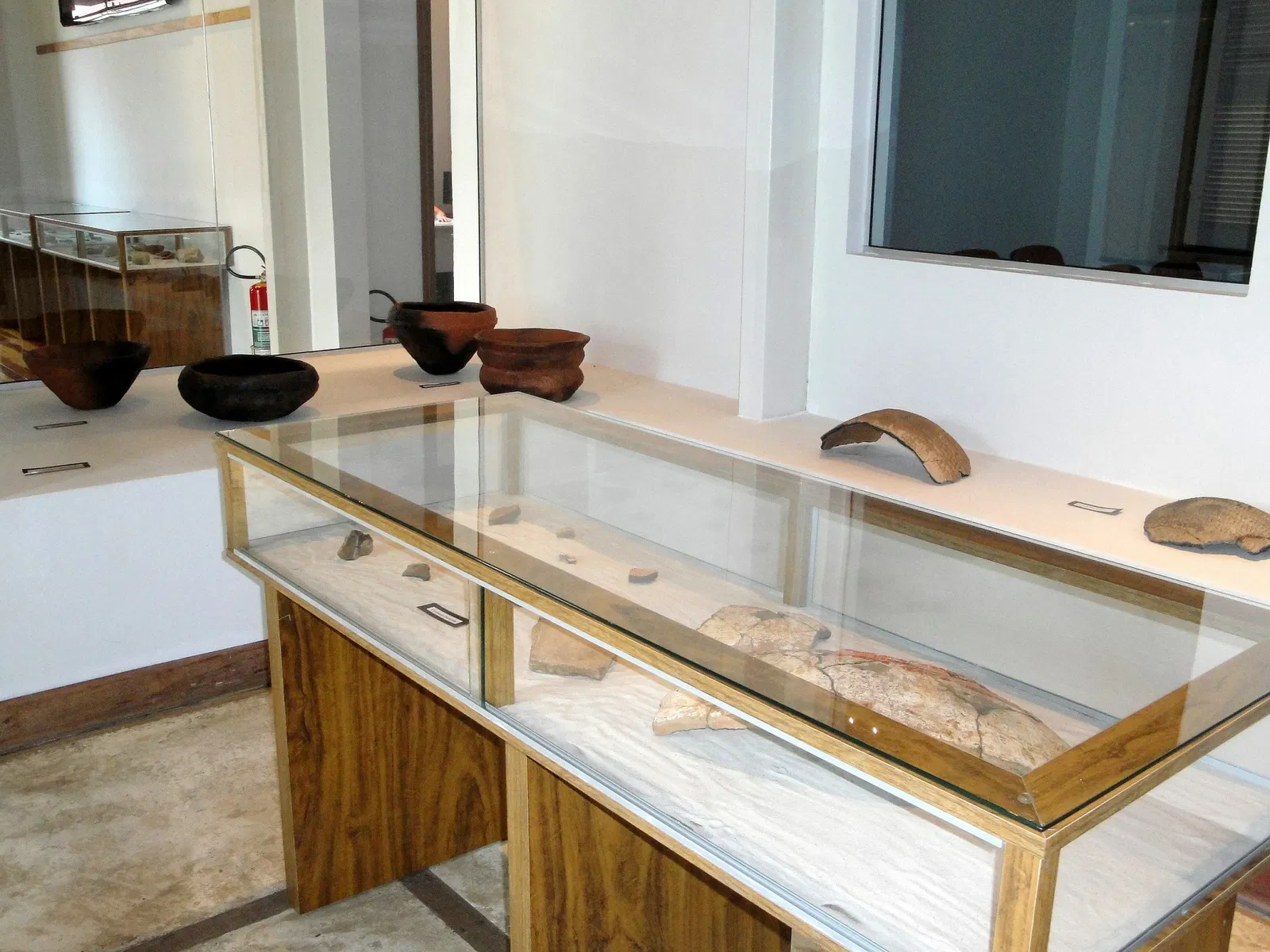 Museu de Arqueologia e Paleontologia de Araraquara