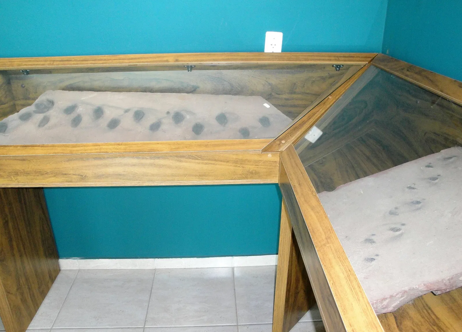 Museu de Arqueologia e Paleontologia de Araraquara