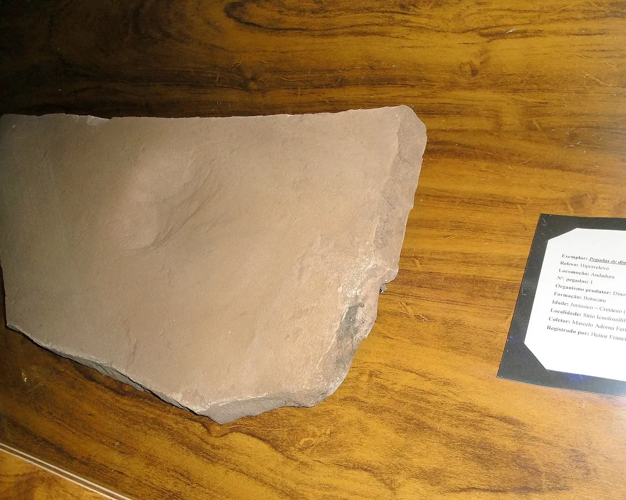 Museu de Arqueologia e Paleontologia de Araraquara