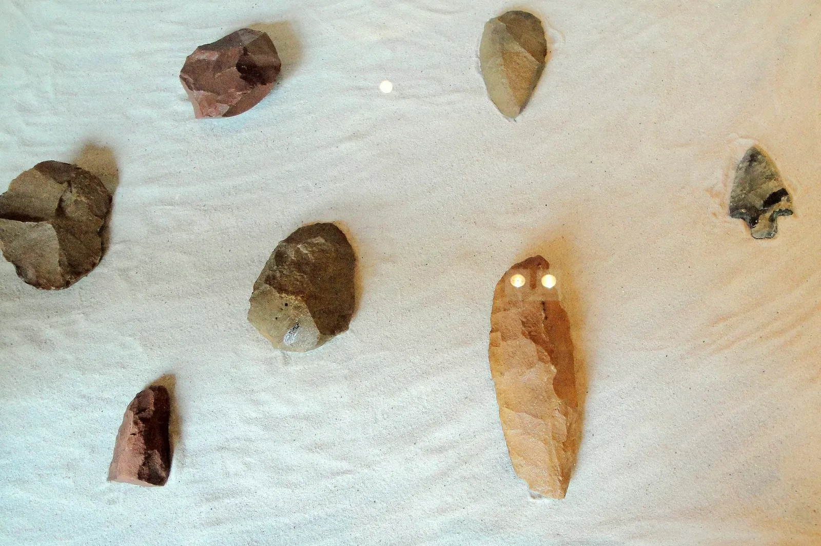 Museu de Arqueologia e Paleontologia de Araraquara