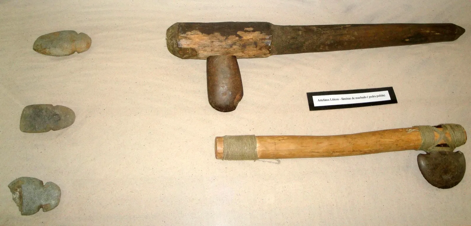 Museu de Arqueologia e Paleontologia de Araraquara