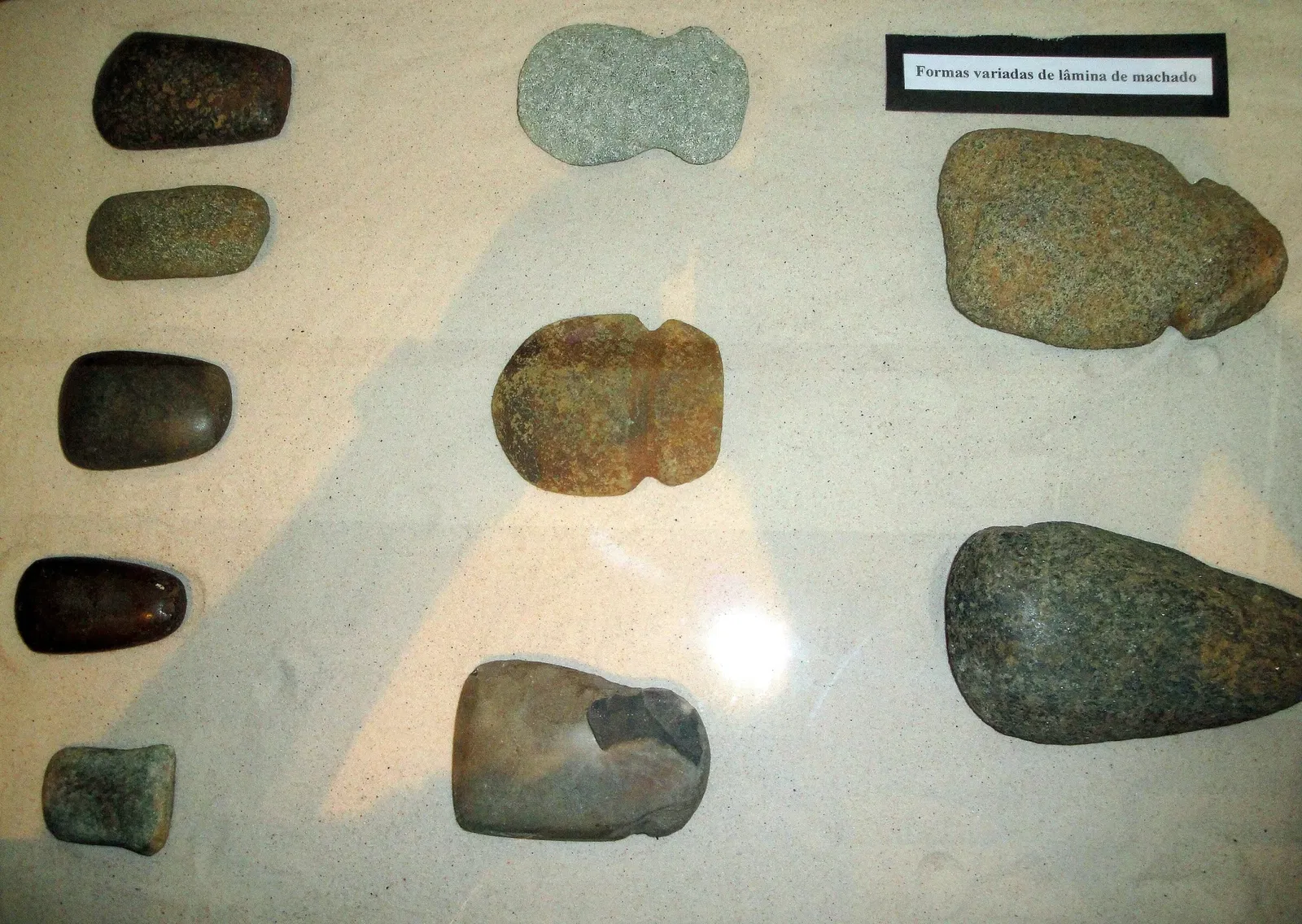 Museu de Arqueologia e Paleontologia de Araraquara