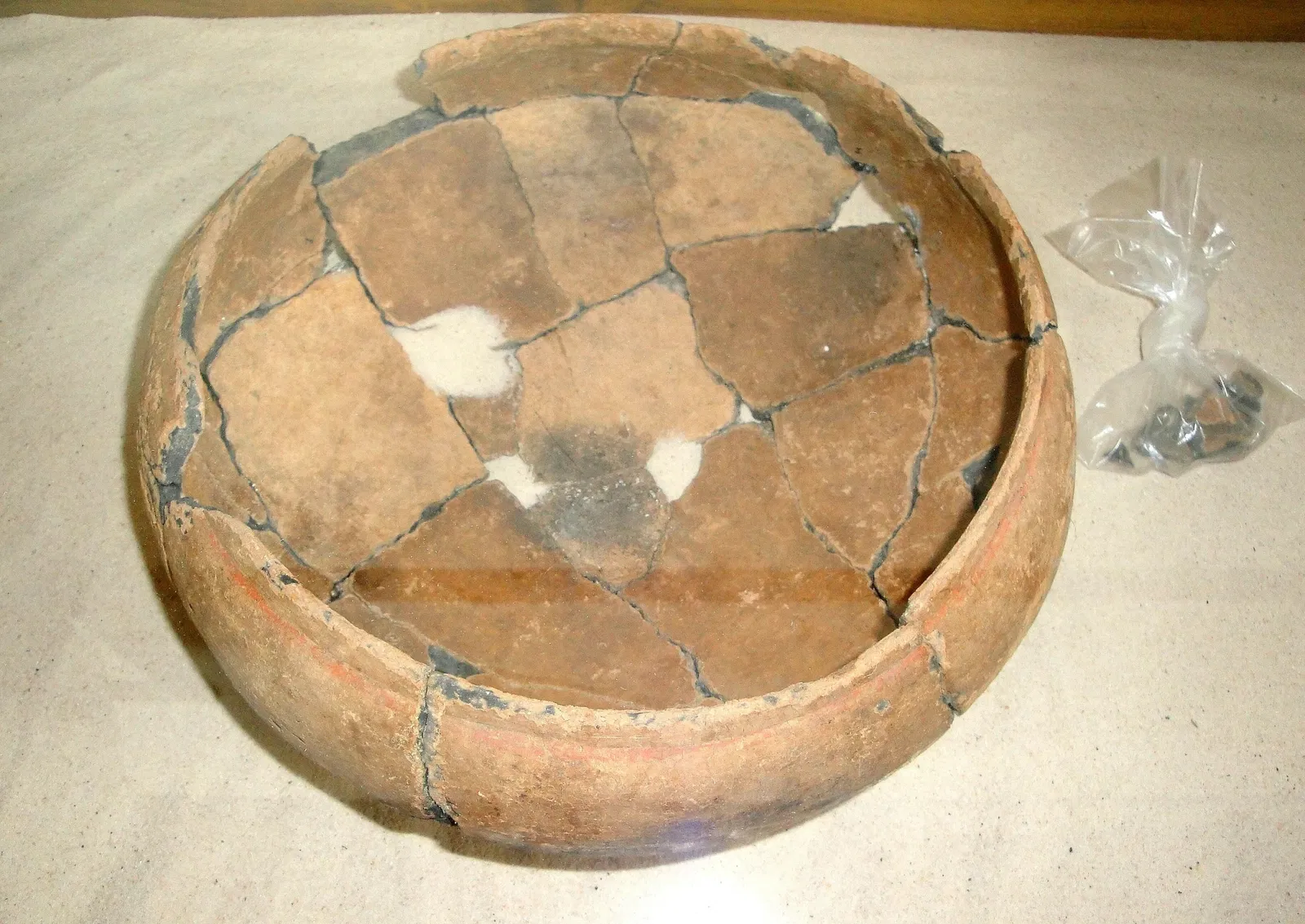 Museu de Arqueologia e Paleontologia de Araraquara