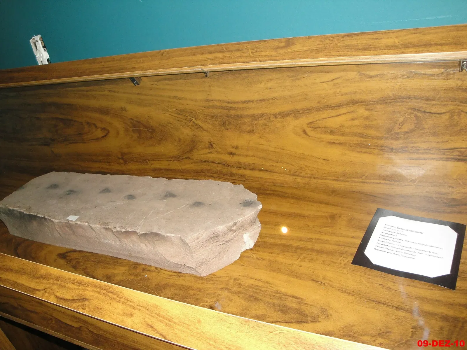 Museu de Arqueologia e Paleontologia de Araraquara