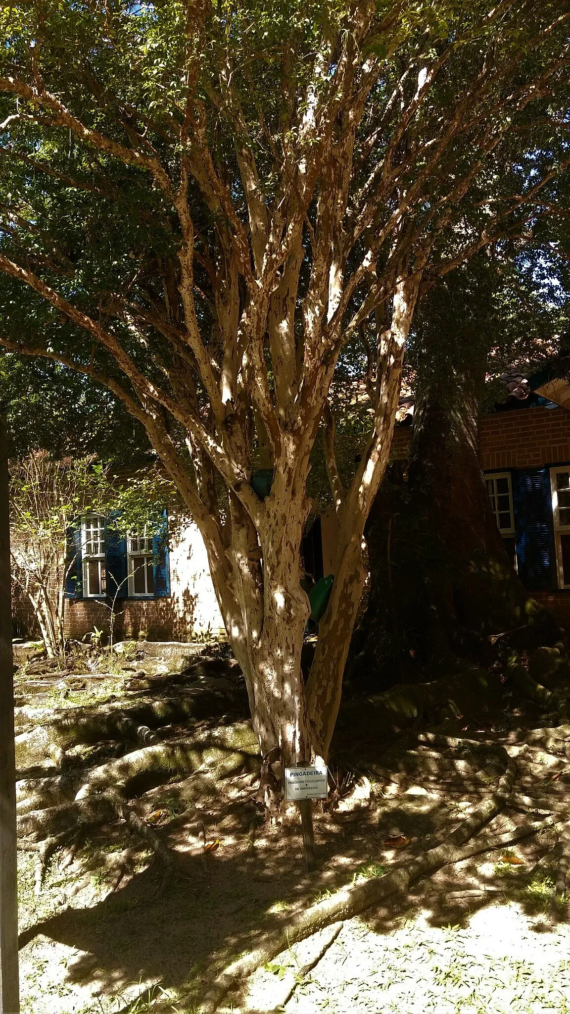 Museu do Folclore de São José dos Campos