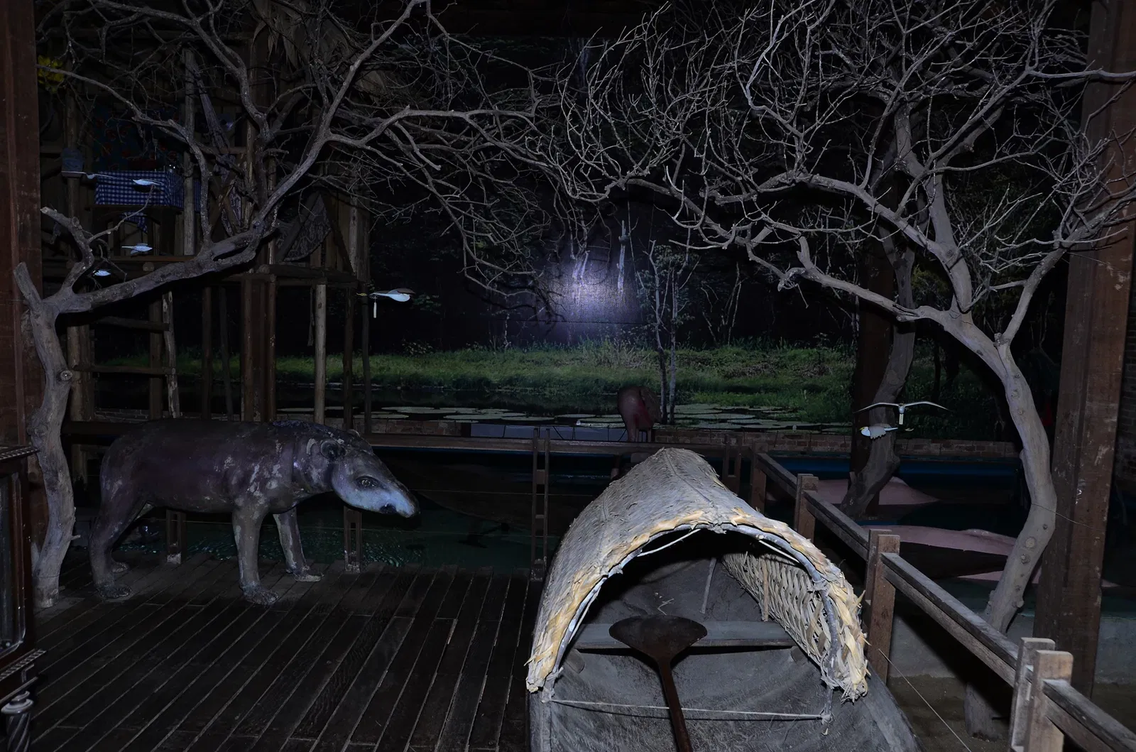 Sea National Museum Craft Brazilian