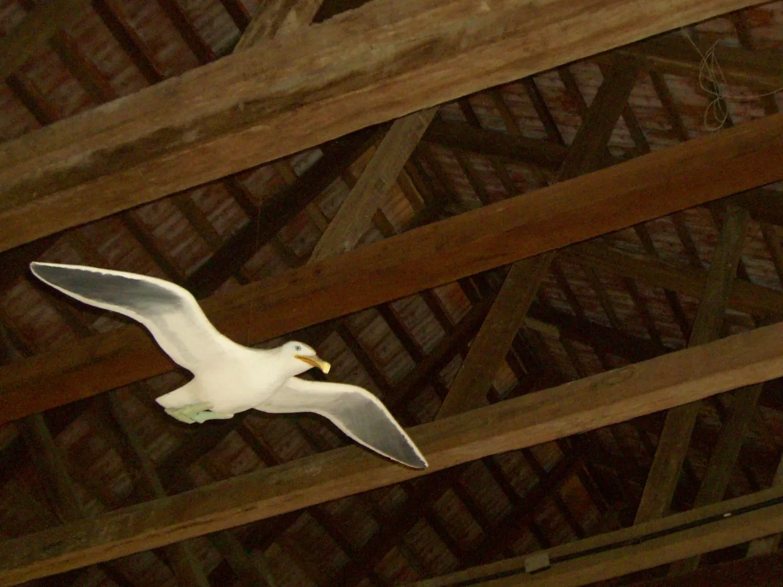 Sea National Museum Craft Brazilian