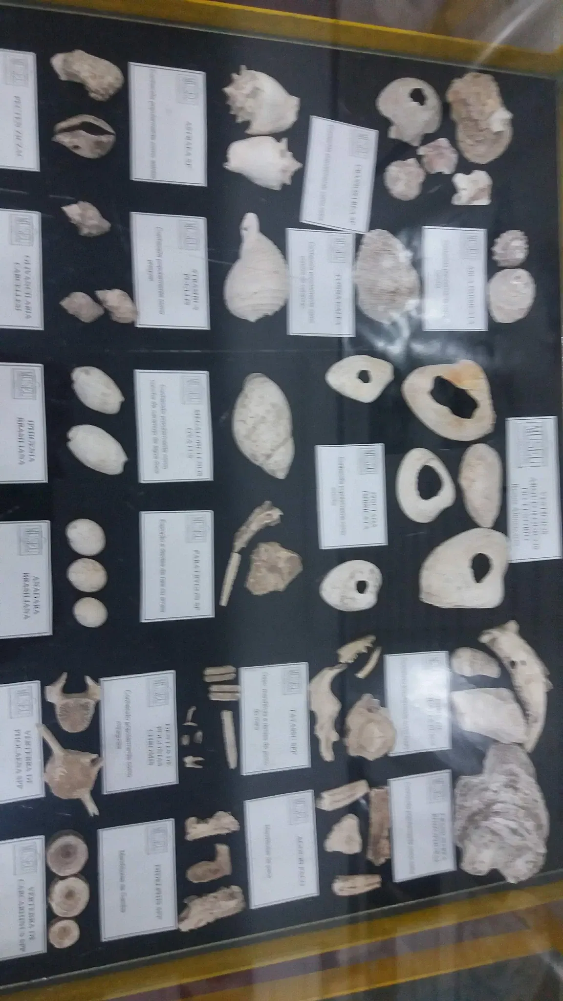 Washington de Oliveira Historical Museum