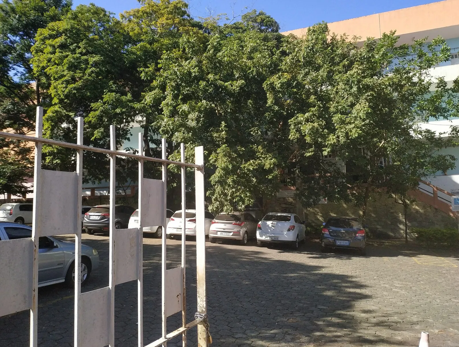 Anthropological Museum DDRH