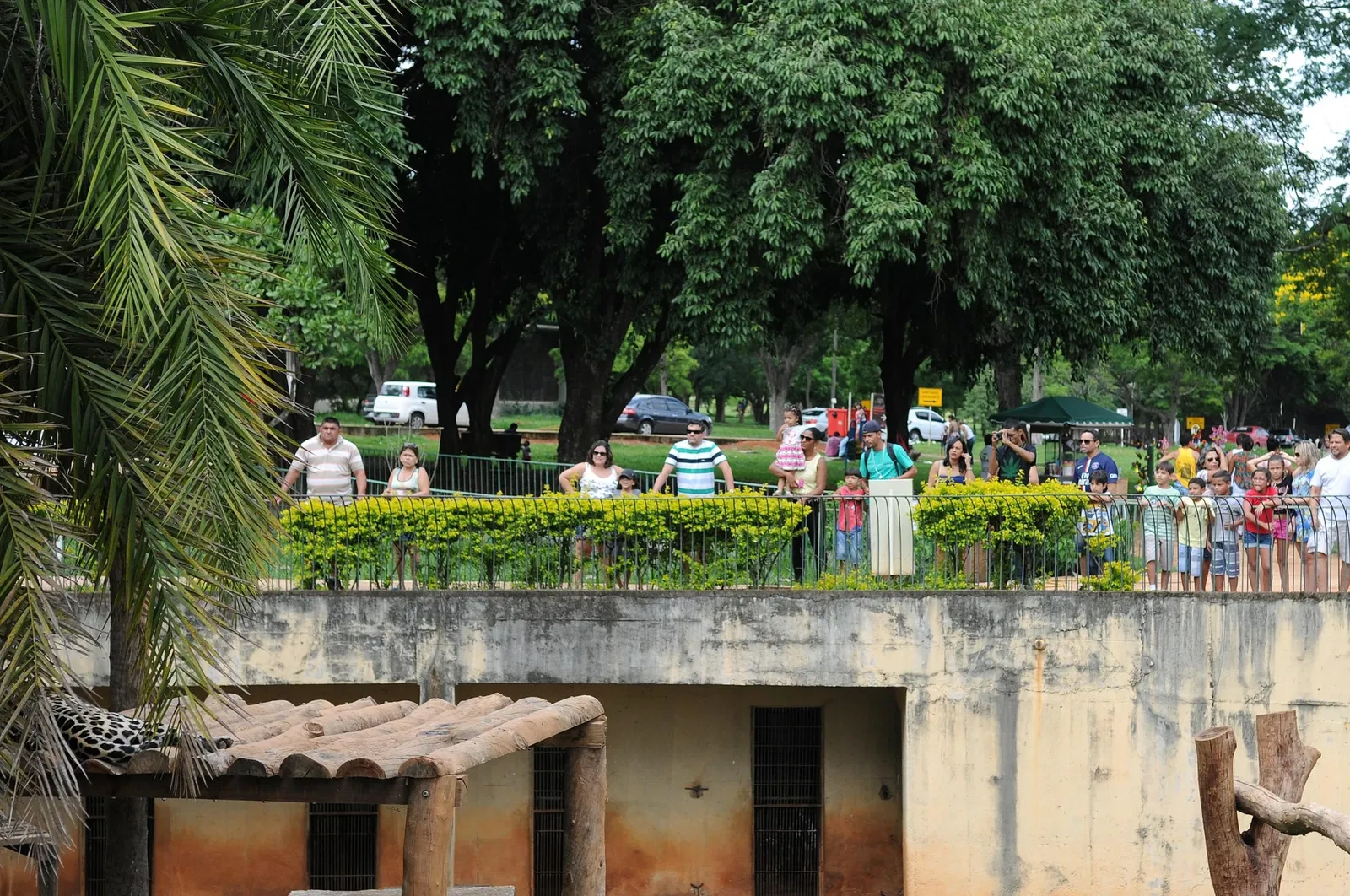 Zoologischer Garten Brasília