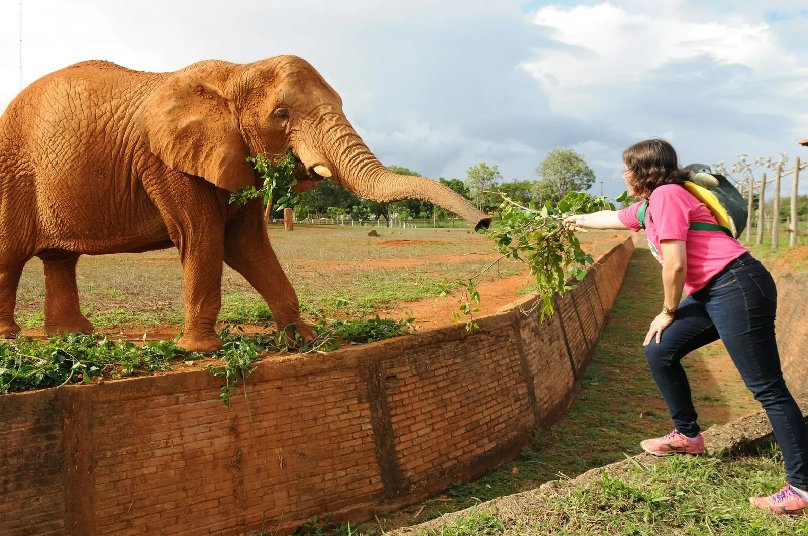 Jardín zoológico de Brasilia