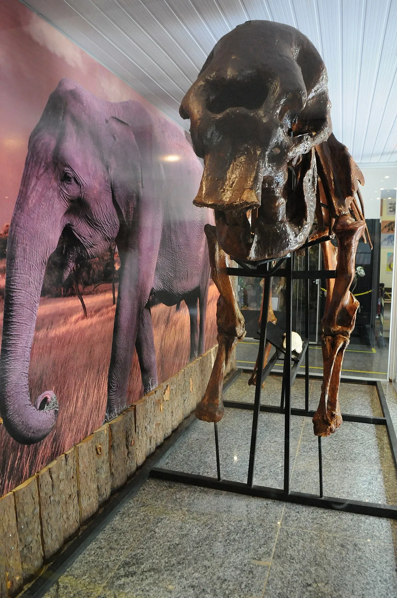 Zoologischer Garten Brasília