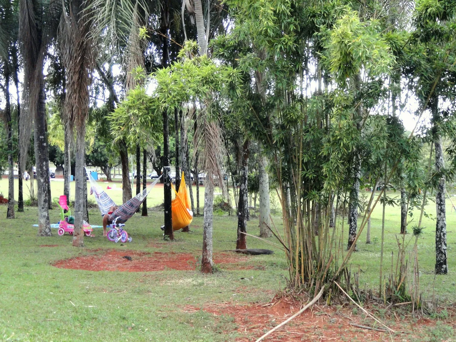 Zoologischer Garten Brasília