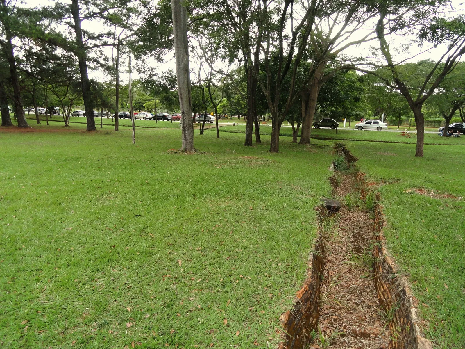Jardín zoológico de Brasilia