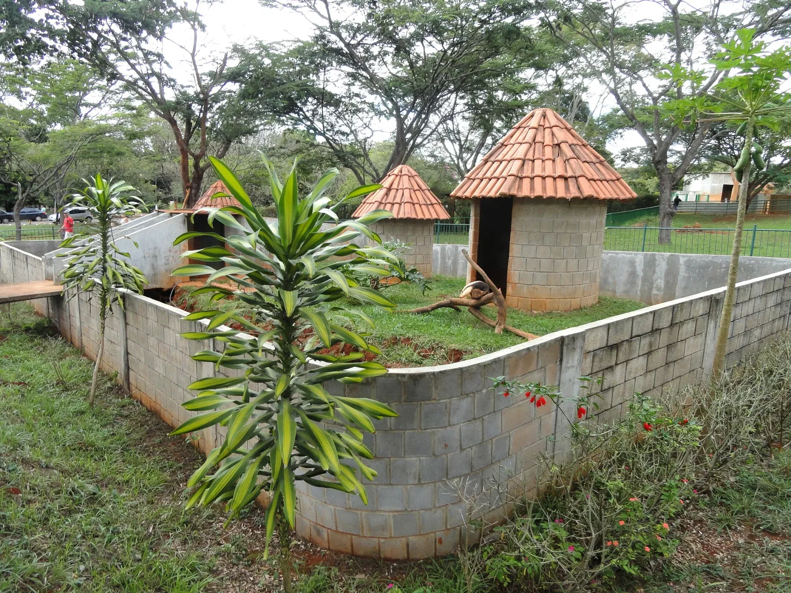 Zoologischer Garten Brasília