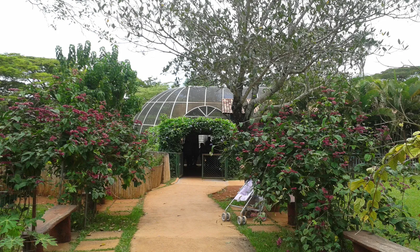Jardín zoológico de Brasilia