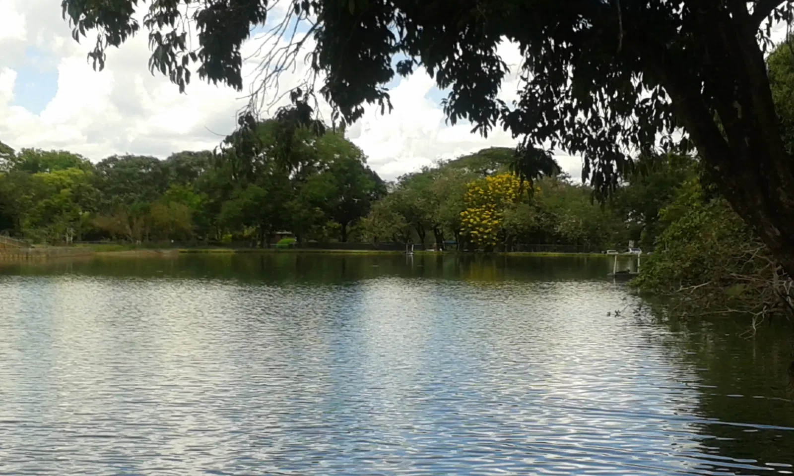 Jardín zoológico de Brasilia