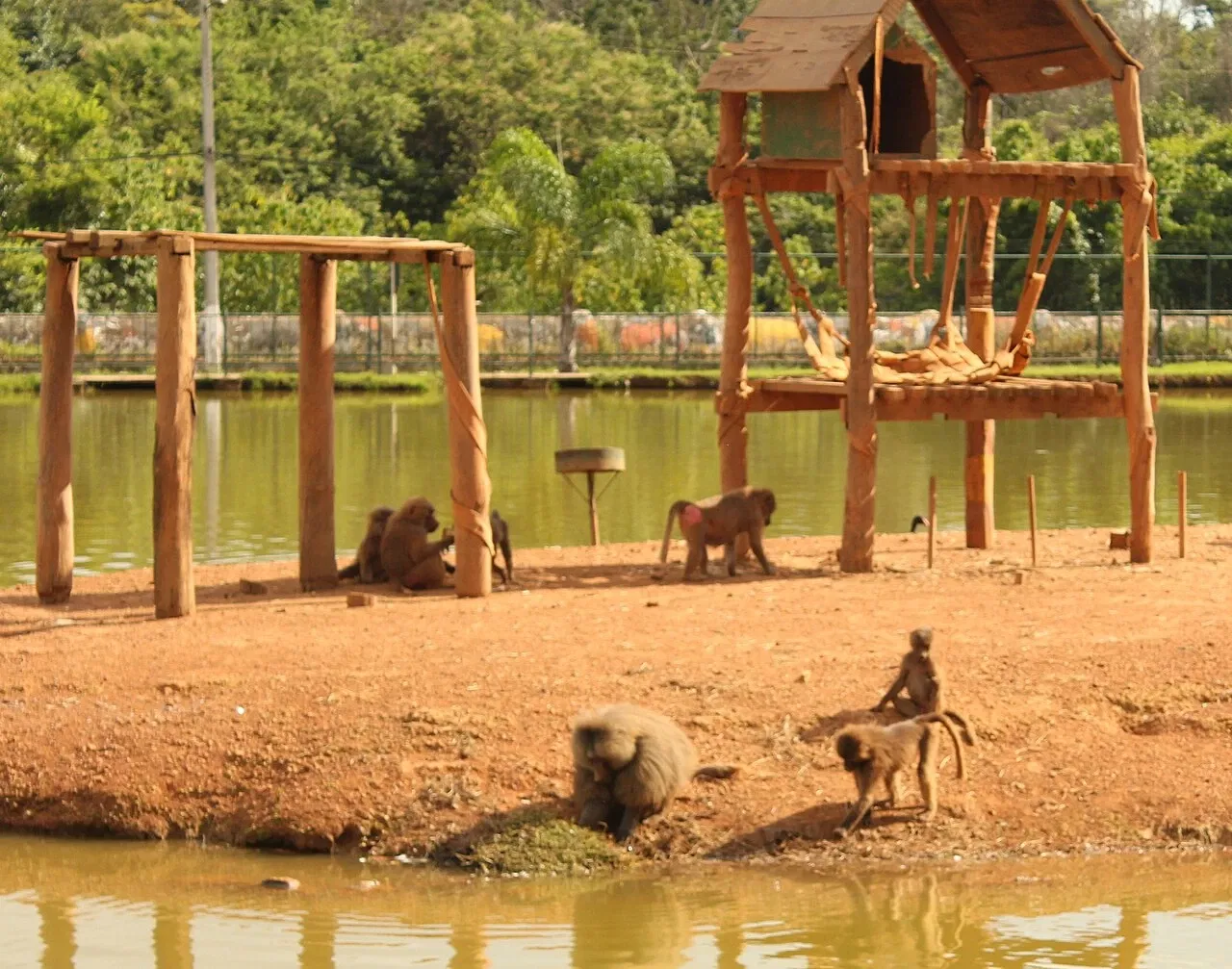Jardín zoológico de Brasilia