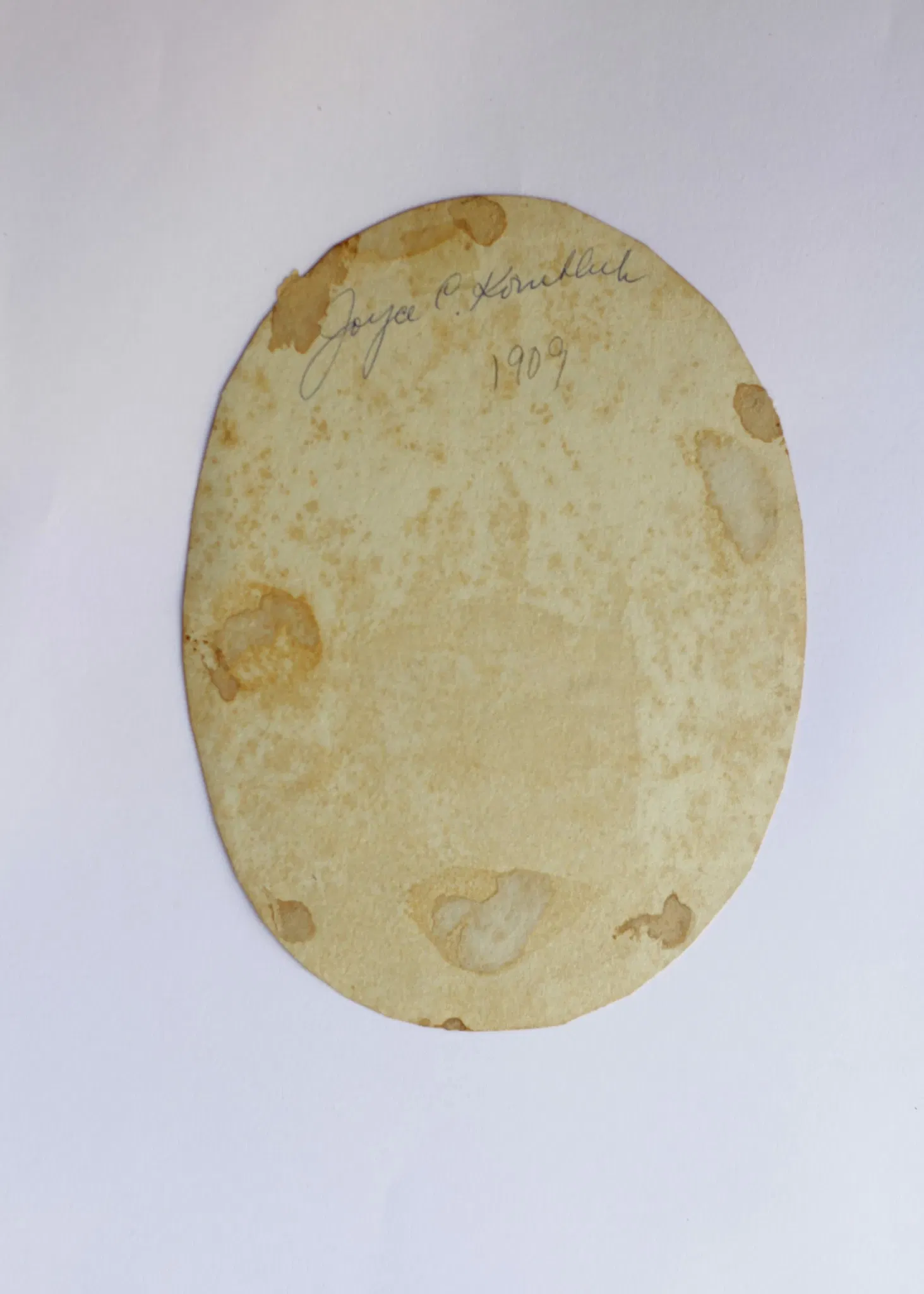 Museu Monteiro Lobato