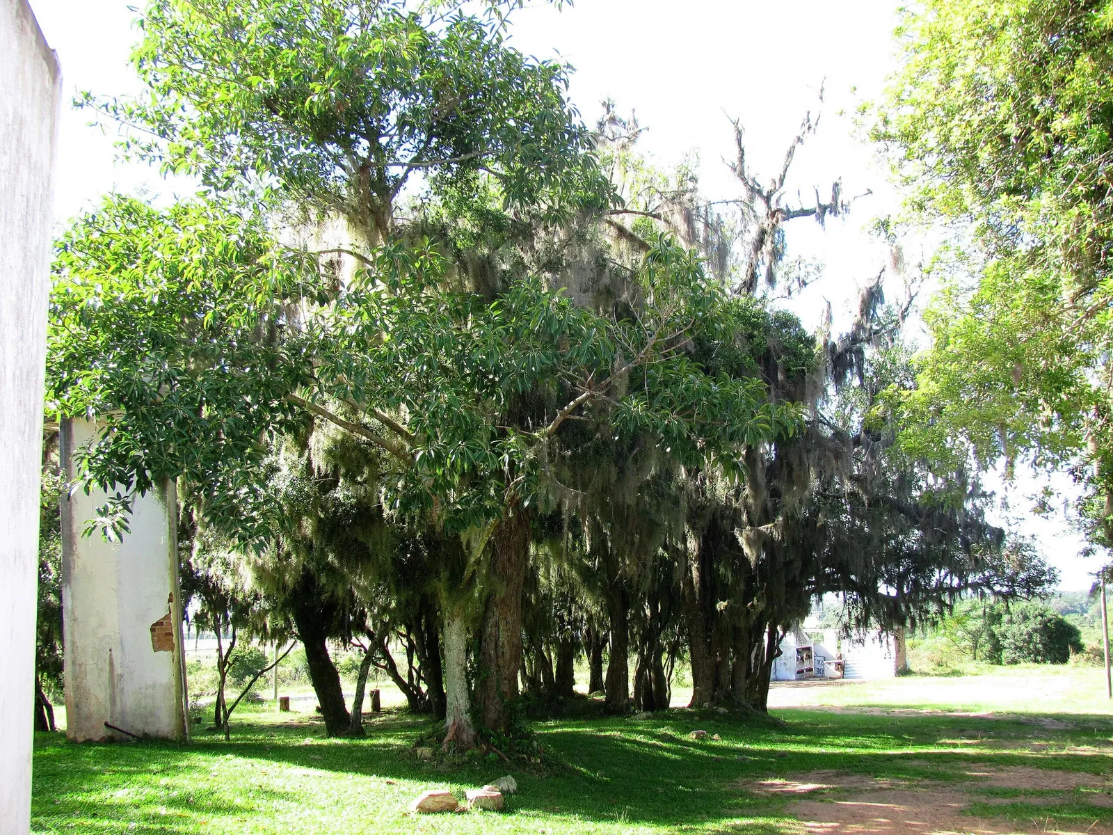 Parque Histórico General Bento Gonçalves