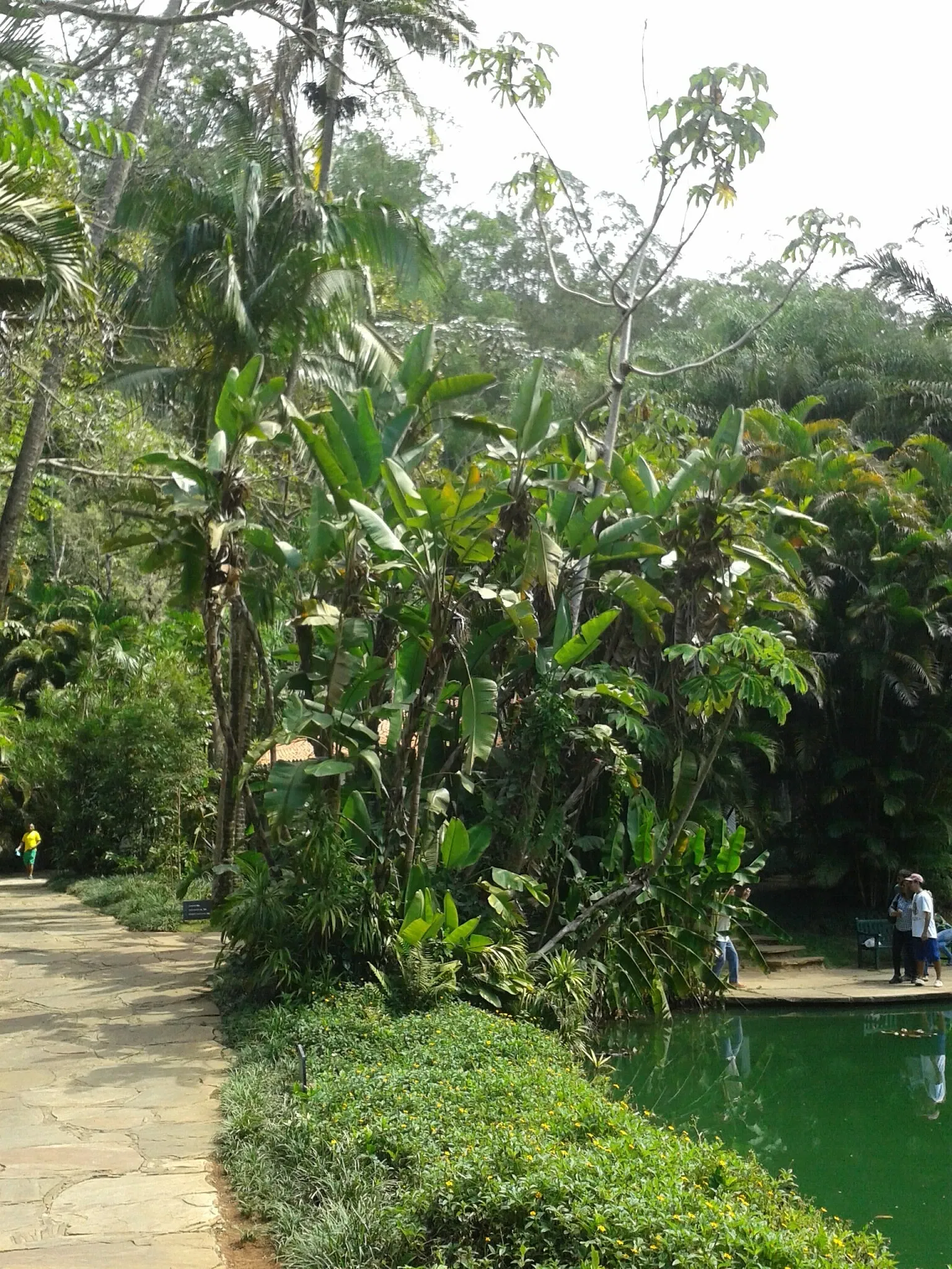 Beeldenpark van het Centro de Arte Contemporânea Inhotim