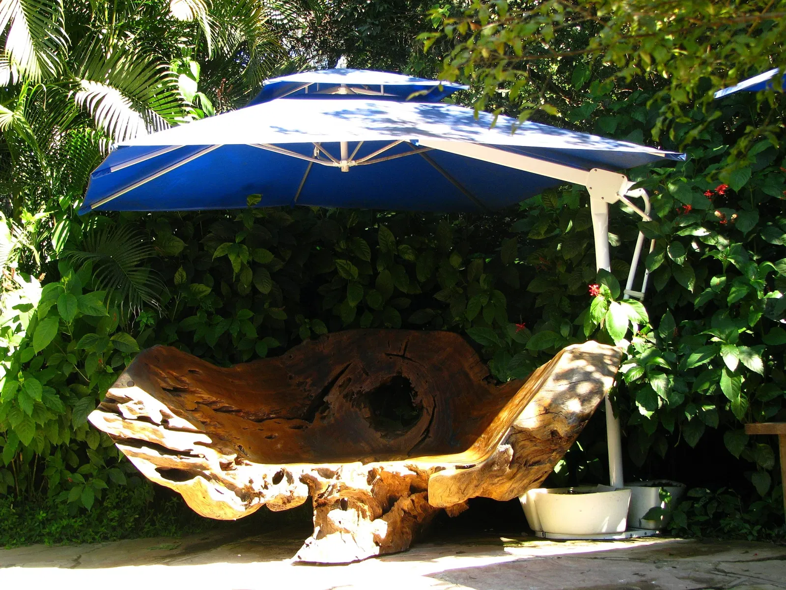 Beeldenpark van het Centro de Arte Contemporânea Inhotim