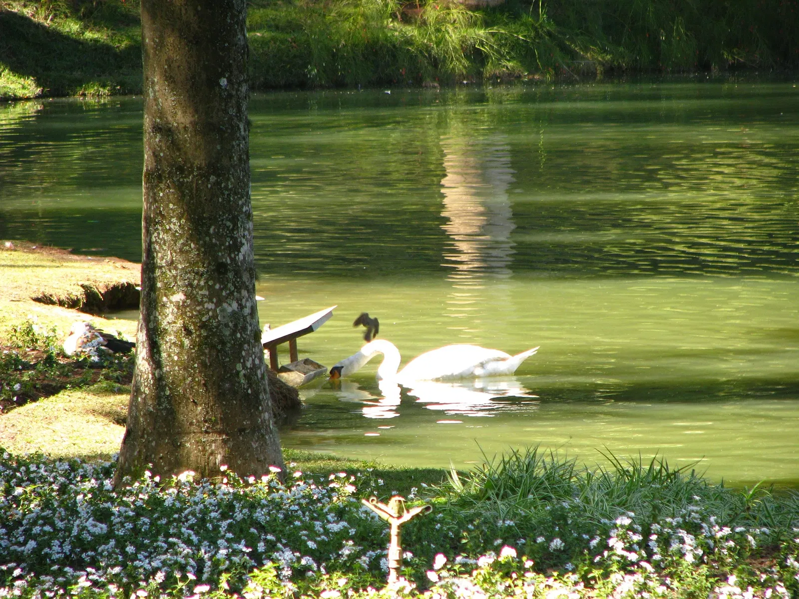 Centro de Arte Contemporânea Inhotim