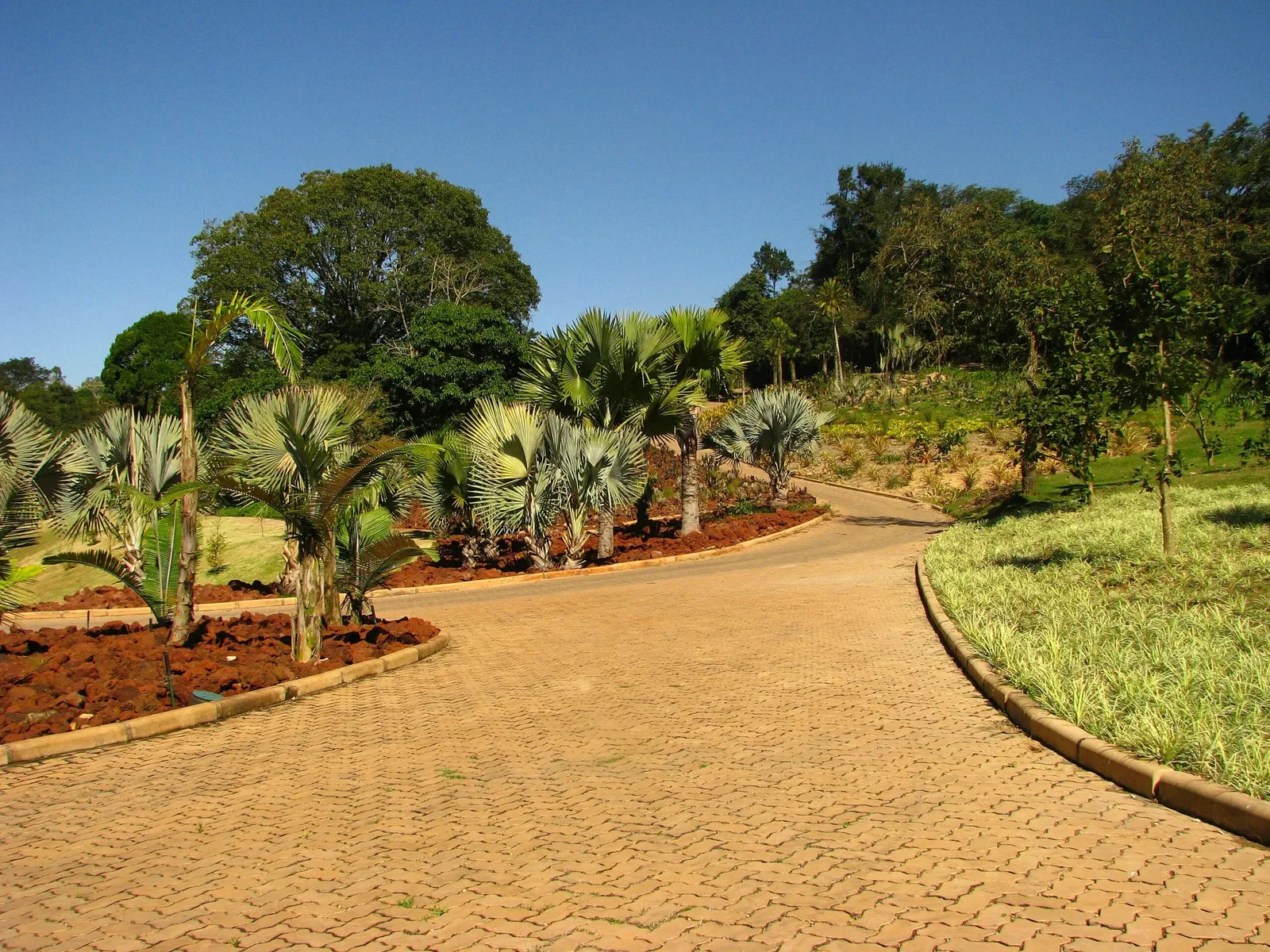 Centro de Arte Contemporânea Inhotim