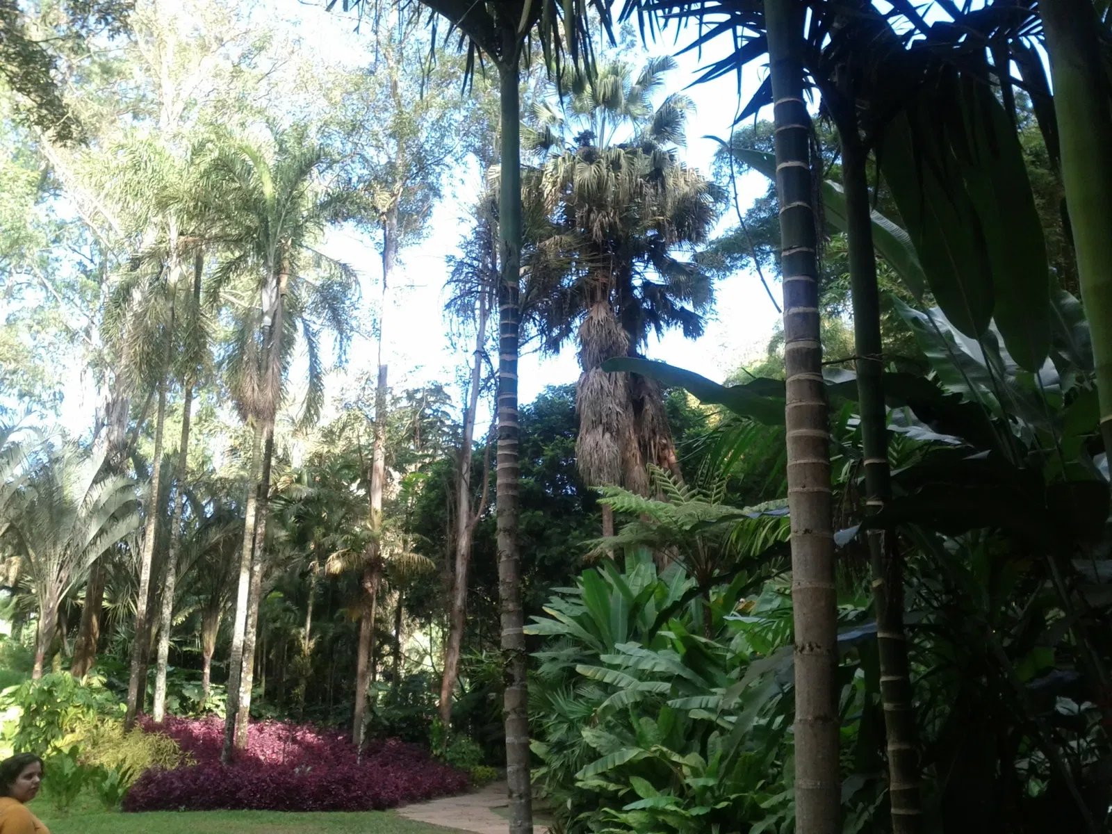 Centro de Arte Contemporânea Inhotim