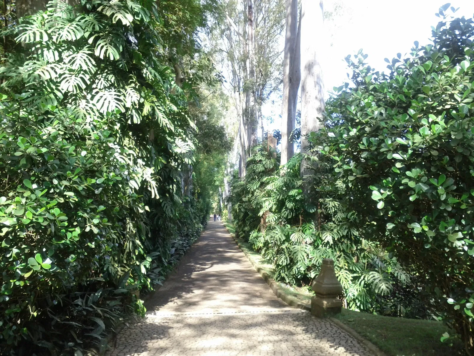 Centro de Arte Contemporânea Inhotim