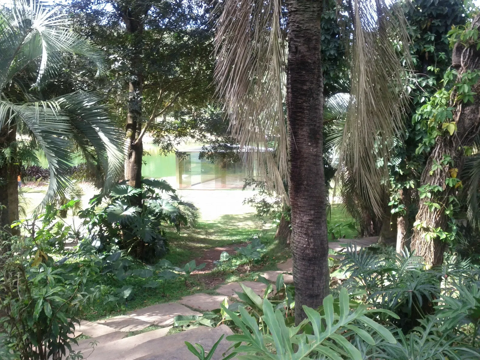 Beeldenpark van het Centro de Arte Contemporânea Inhotim